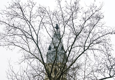 City Hall (branches) (Color) by Erin Clark art print