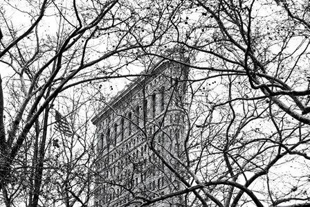 Veiled Flatiron Building (b/w) by Erin Clark art print