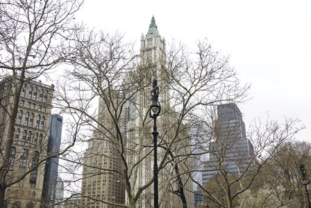 Woolworth Building from City Hall Park by Erin Clark art print