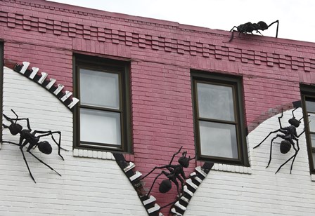 Ants by Erin Clark art print