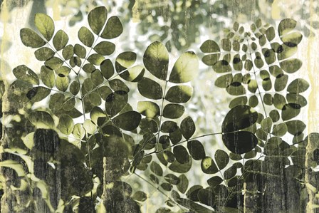 Dappled Radiance by Erin Clark art print