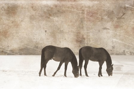 Grazing Pair by Erin Clark art print
