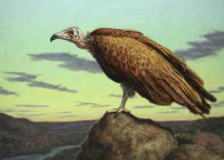 Buzzard Rock by James W. Johnson art print
