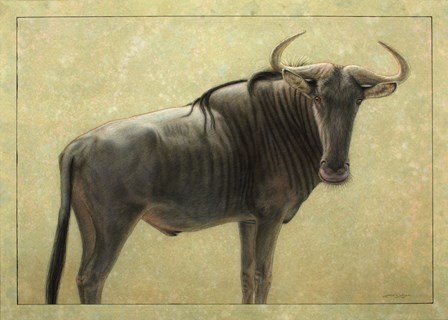 Wildebeest by James W. Johnson art print