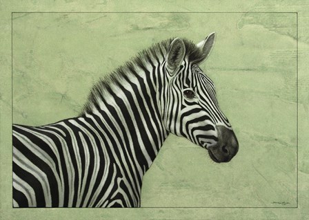 Zebra by James W. Johnson art print