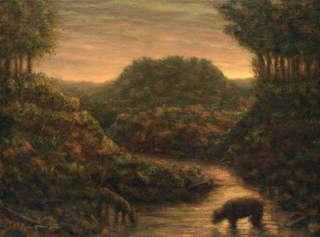 Mountain Stream by James W. Johnson art print