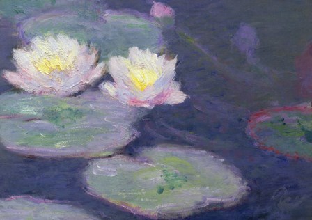 Crop Water Lilies by Claude Monet art print