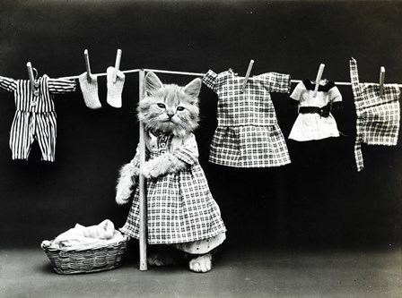 Kitty Laundry by Vintage Apple Collection art print