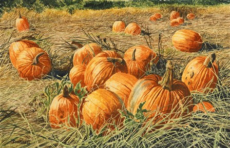 Pumpkin Harvest by Michael Davidoff art print