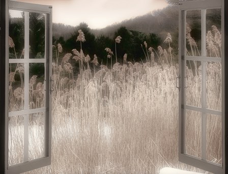 Portal by Mindy Sommers art print