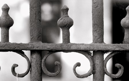 Grating by Mindy Sommers art print