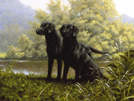 Alert by John Silver art print