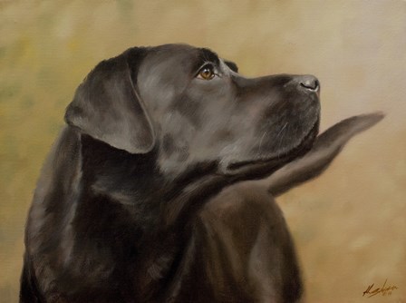 Black Lab 13 by John Silver art print