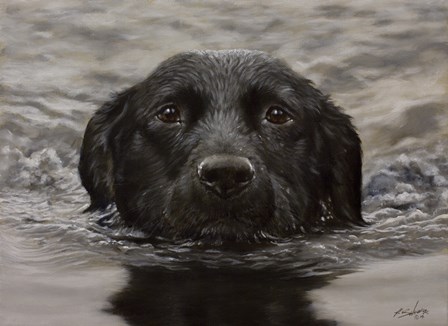 Black Lab 20 by John Silver art print