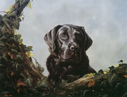 Ivy by John Silver art print