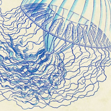 Vintage Jellyfish I by Sparx Studio art print