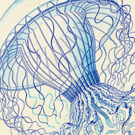 Vintage Jellyfish II by Sparx Studio art print
