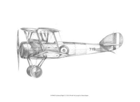 Technical Flight V by Ethan Harper art print