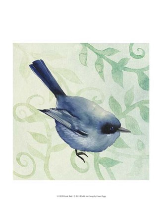 Little Bird I by Grace Popp art print
