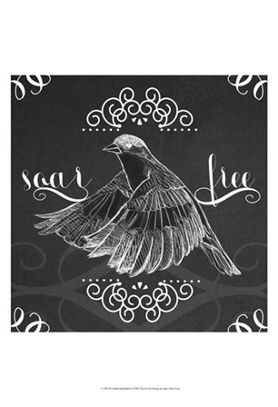 Chalkboard Bird II by June Erica Vess art print