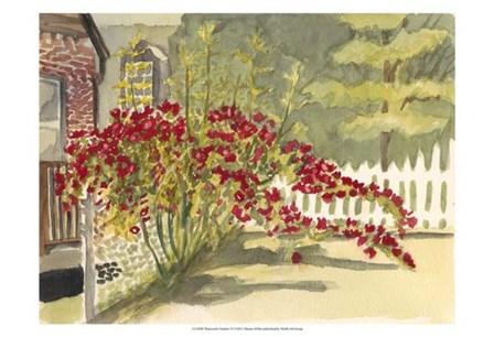 Watercolor Garden VI by Dianne Miller art print