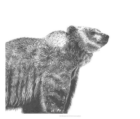 Wildlife Snapshot: Grizzly by Naomi McCavitt art print