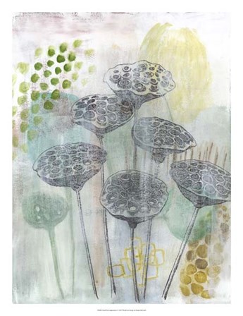 Seed Pod Composition I by Naomi McCavitt art print