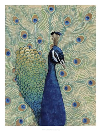 Blue Peacock I by Timothy O&#39;Toole art print