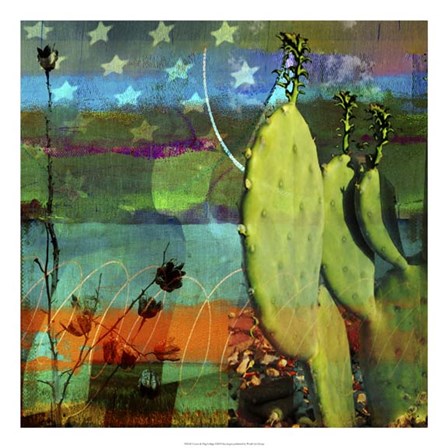 Cactus &amp; Flag Collage by Sisa Jasper art print