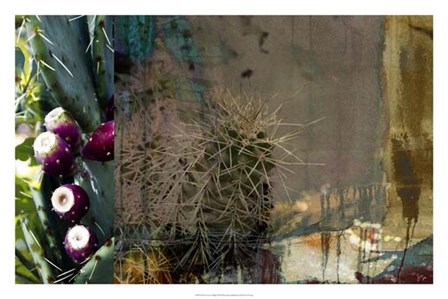 Texas Cactus Collage by Sisa Jasper art print