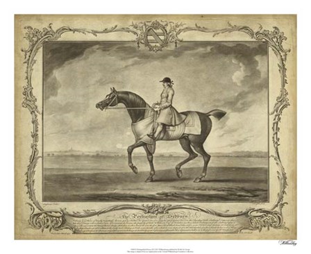 Distinguished Horses II art print