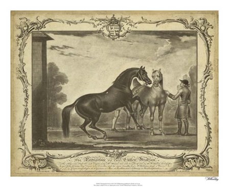 Distinguished Horses III art print