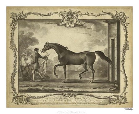 Distinguished Horses IV art print
