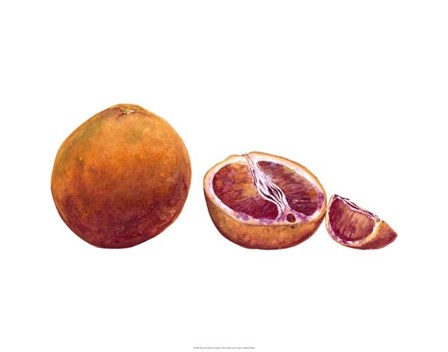 Watercolor Blood Orange by Michael Willett art print