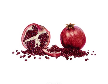 Watercolor Pomegranate by Michael Willett art print