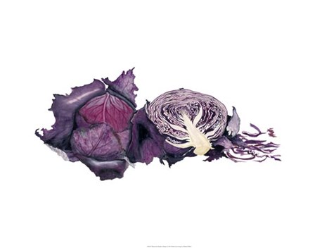 Watercolor Purple Cabbage by Michael Willett art print