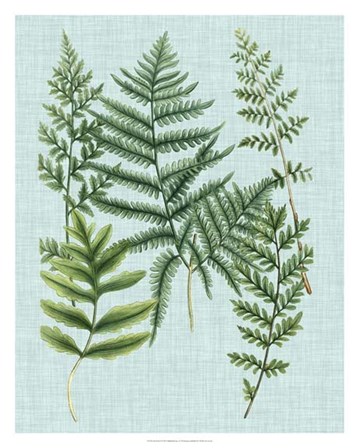 Spa Ferns I by Joseph Weinmann art print