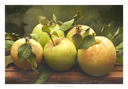 Jill&#39;s Green Apples II by Rachel Perry art print