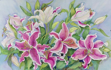 Lilies And Buds by Joanne Porter art print