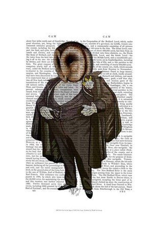 Owl At the Opera by Fab Funky art print