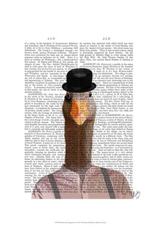 Clockwork Orange Goose by Fab Funky art print