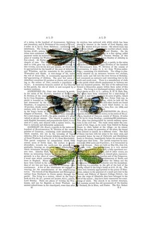 Dragonflies Print 2 by Fab Funky art print