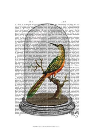 Bird In Bell Jar by Fab Funky art print
