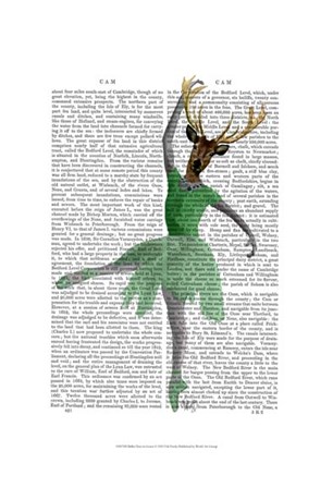 Ballet Deer in Green I by Fab Funky art print