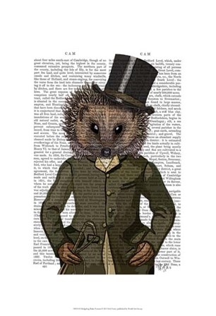 Hedgehog Rider Portrait by Fab Funky art print