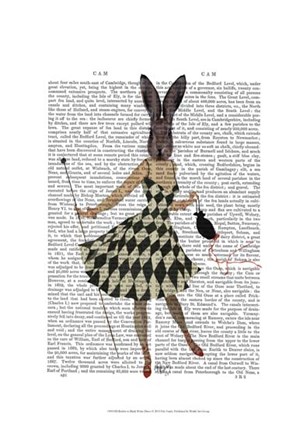 Rabbit in Black White Dress by Fab Funky art print