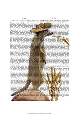 Meerkat Cowboy by Fab Funky art print
