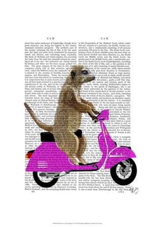 Meerkat on Pink Moped by Fab Funky art print