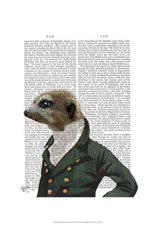 Dandy Meerkat Portrait by Fab Funky art print