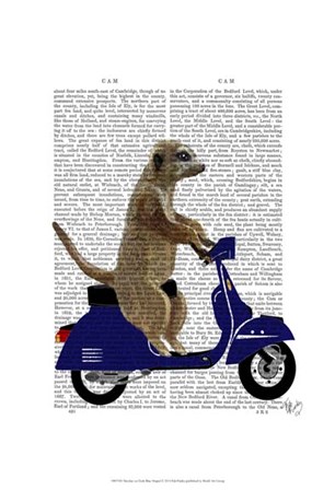 Meerkat on Dark Blue Moped by Fab Funky art print